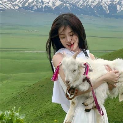 我的街区第二季